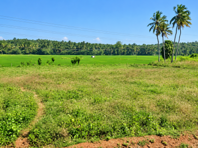 LAND WITH HOUSE FOR SALE IN KANNAMBRA, PALAKKAD