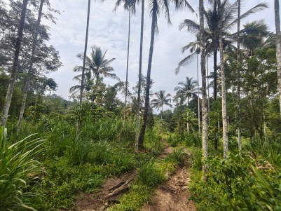 Land for Sale in Lakkidi, Wayanad