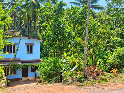 25 Cents Land with 3 BHK House for Sale near Peravoor, Kannur District