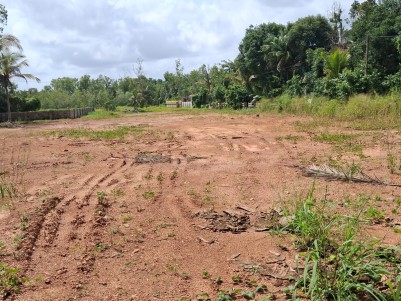 Residential Plot for Sale in Kandanad, Tripunithura, Ernakulam