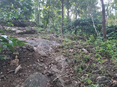 91 Cents Agricultural Land for Sale in Irulam, Wayanad