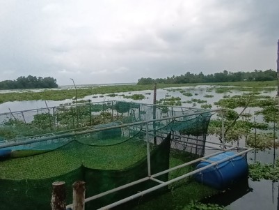17 Acres of Waterfront Land for Sale Near Murinjapuzha, Vaikom Route, Kottayam