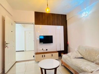 FULLY FURNISHED 2 BHK FLAT FOR SALE IN UMMALATHOOR, CALICUT